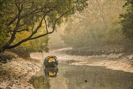 A Unique Sundarban Experience Explore Sundarban & Bagerhat Like Never Before!