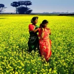 Bangladesh village