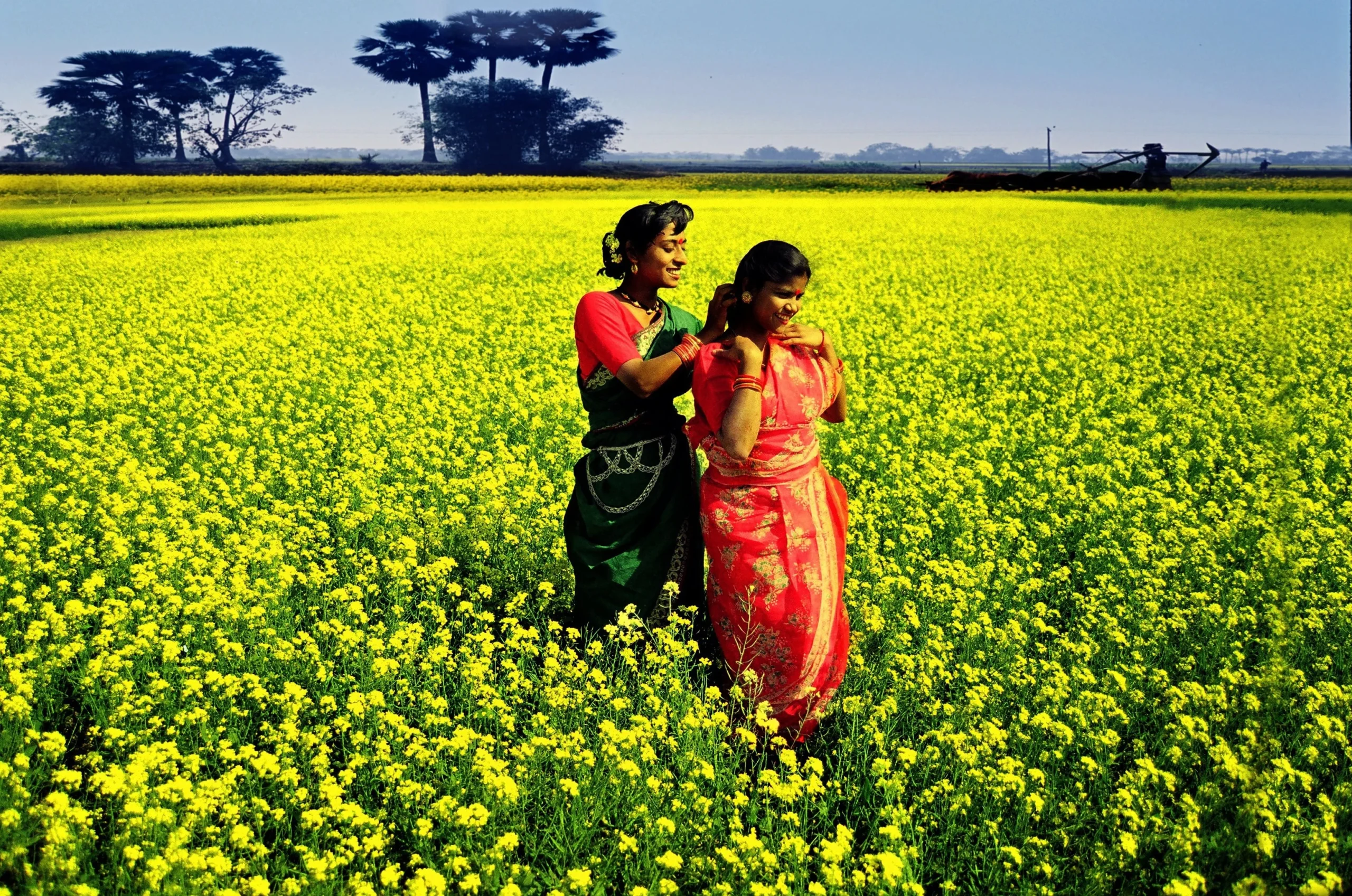 Bangladesh village