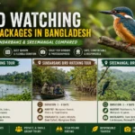 Best Bird Watching Tour Packages in Bangladesh