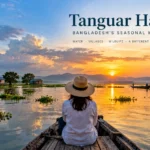 Tanguar Haor