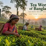 Tea worker