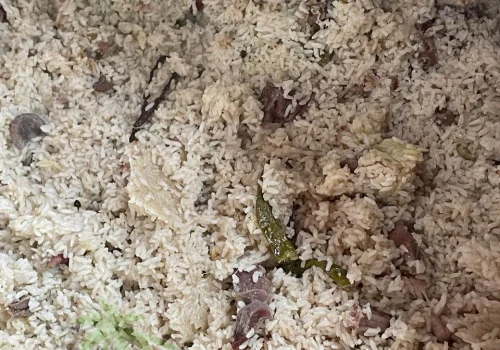 Bangladesh Explore Gallery 10