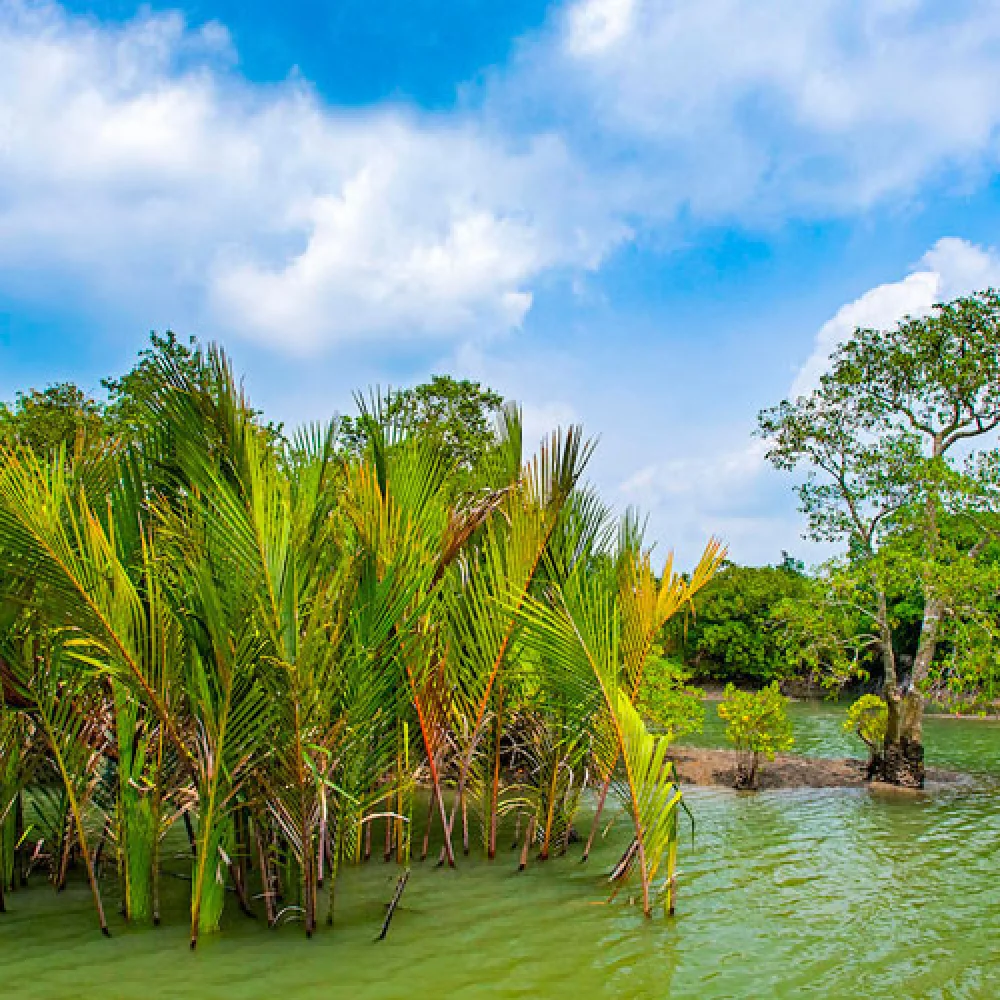 Private Boat Tours for a Better Experience