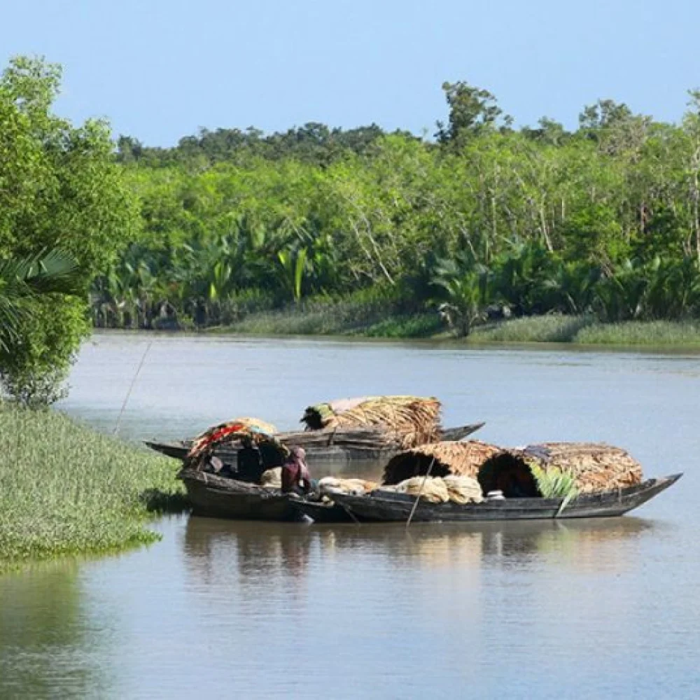 Private Boat Tours for a Better Experience ২