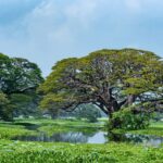 Beautiful Location of Bangladesh